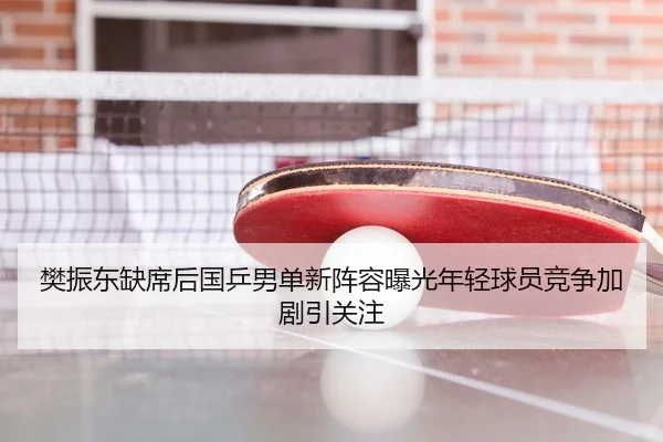 樊振东缺席后国乒男单新阵容曝光年轻球员竞争加剧引关注